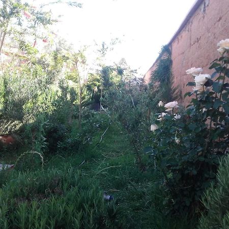 Auberge Toda Ait Igad Bagian luar foto